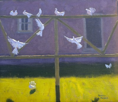 Doves, 1999 by Andrew Macara